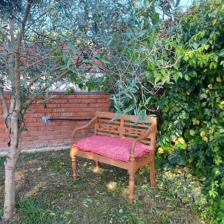 Piscina De Sal Barbacoa Wifi, Parking Gratis, 3 Min Pga Casa El Roble Villa Girona Exteriör bild