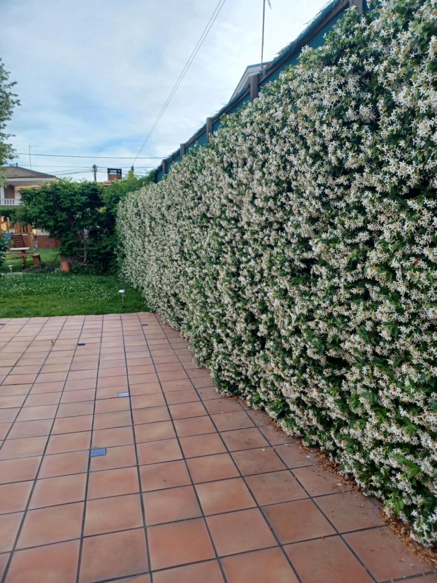 Piscina De Sal Barbacoa Wifi, Parking Gratis, 3 Min Pga Casa El Roble Villa Girona Exteriör bild